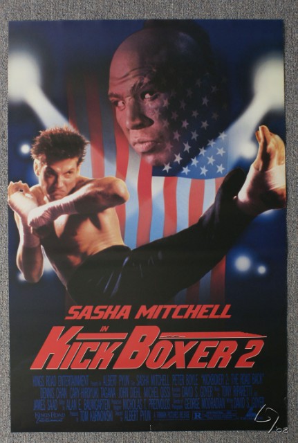 kickboxer 2.JPG